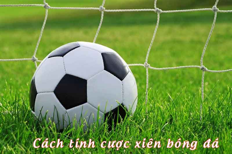 Cách tính cược xiên bóng đá